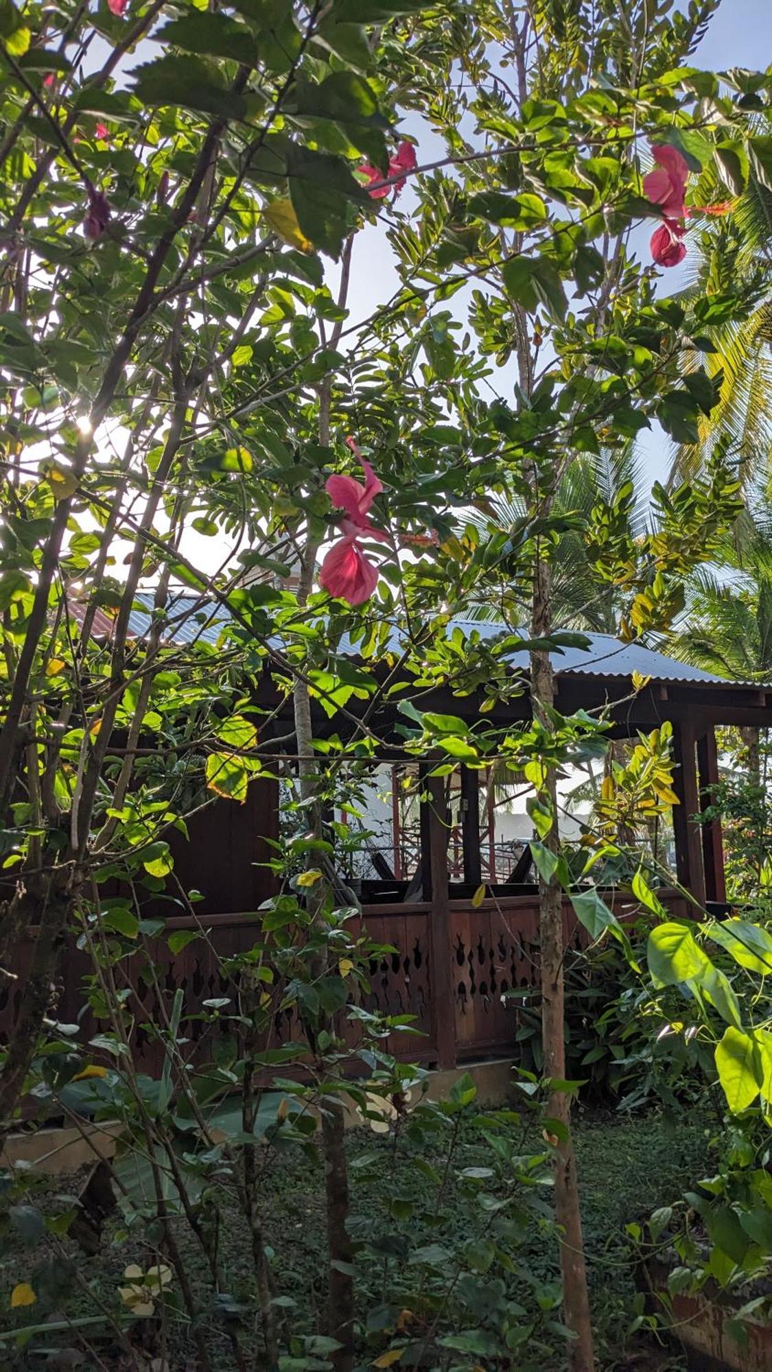 Villa Casas Del Mar Manzanillo  Esterno foto